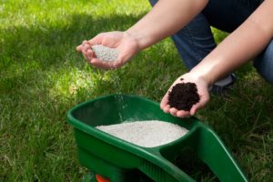 fertilize-lawn